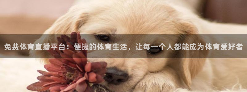 免费体育直播平台：便捷的体育生活，让每一个人都能成为体育爱好者