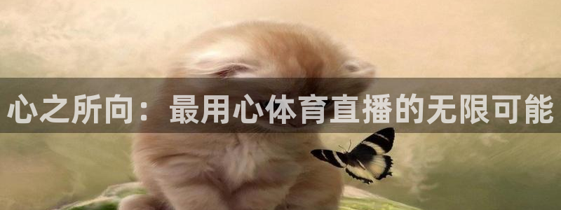 心之所向：最用心体育直播的无限可能