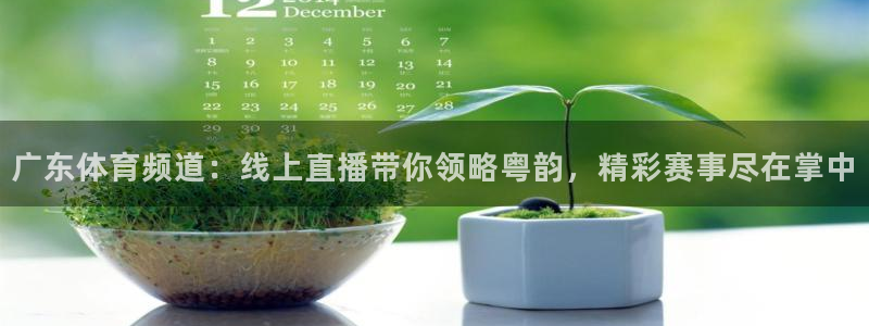 广东体育频道：线上直播带你领略粤韵，精彩赛事尽在掌中