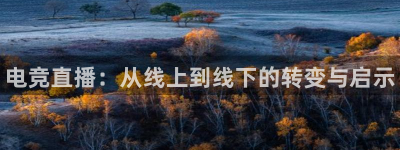 电竞直播：从线上到线下的转变与启示